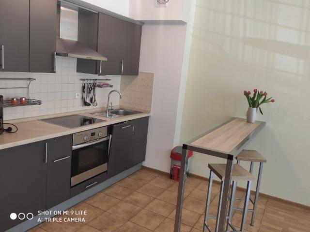 Luxapartament 3 - Z Duzym Tarasem I Garazem W Zeta Park Ustroń Eksteriør bilde